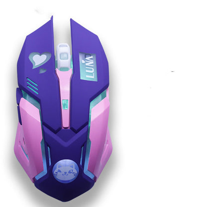 Ergonomic Silent Gaming Mouse