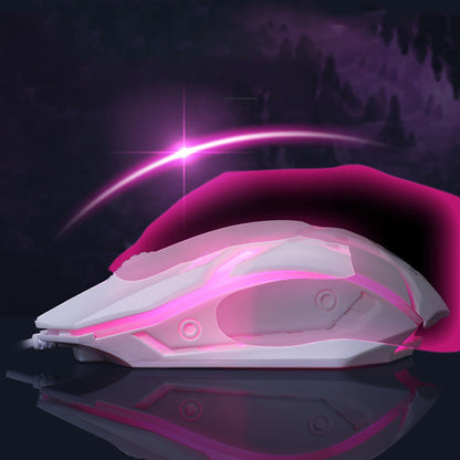 Wired Gaming Keyboard and Mouse Combo